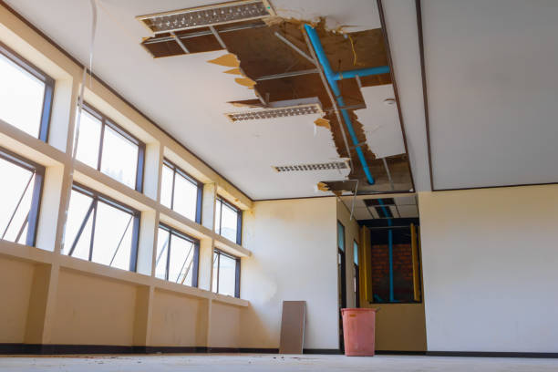 Best Flood damage cleanup  in Indialantic, FL