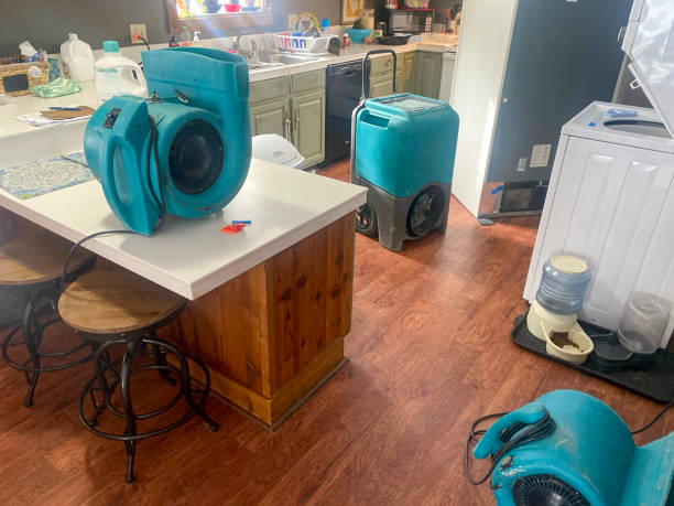 Best Water damage cleanup near me  in Indialantic, FL