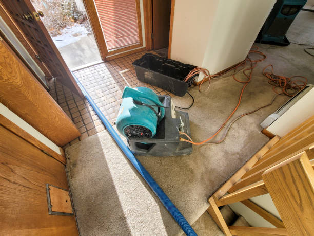 Best Water damage repair service  in Indialantic, FL