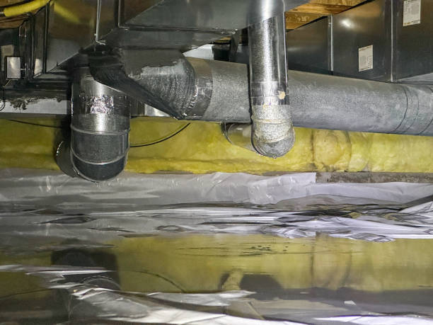 Best Water damage restoration near me  in Indialantic, FL