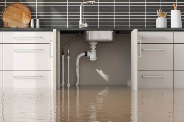 Best Water damage contractors near me  in Indialantic, FL