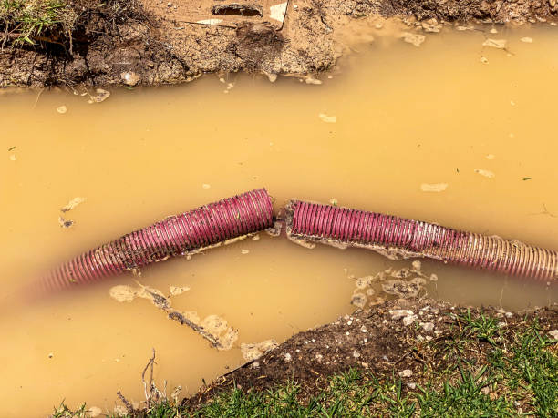 Best Water damage restoration near me  in Indialantic, FL